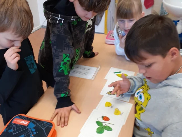 Á, bé, cé, dé, kočka přede, ale pes to nedovede…