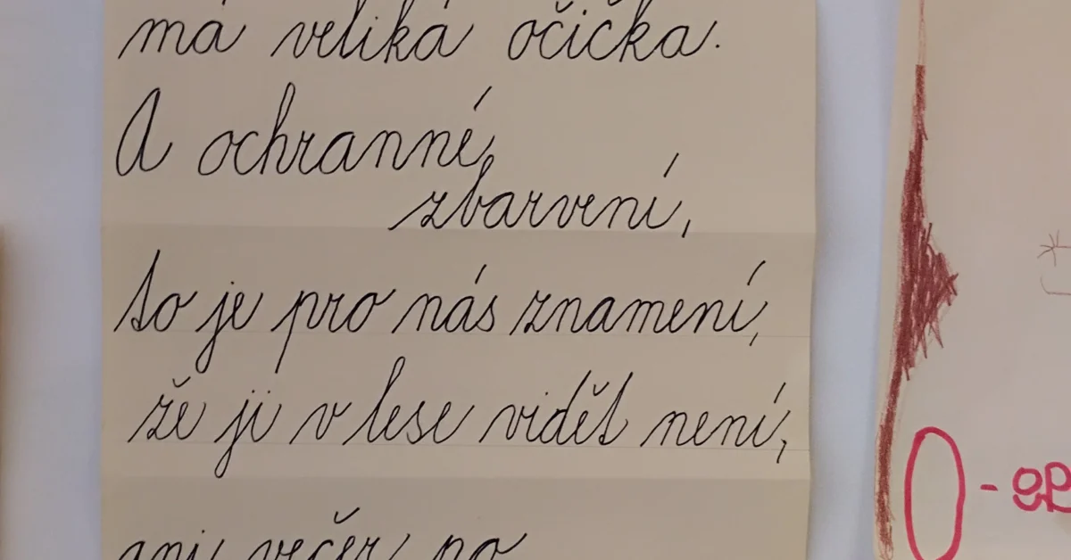 Náš školní maskot: “Sova Amálka”