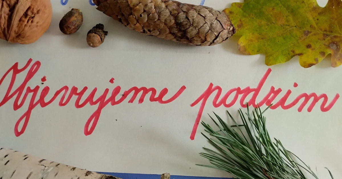 Projektová výuka č. 2: “Objevujeme podzim”