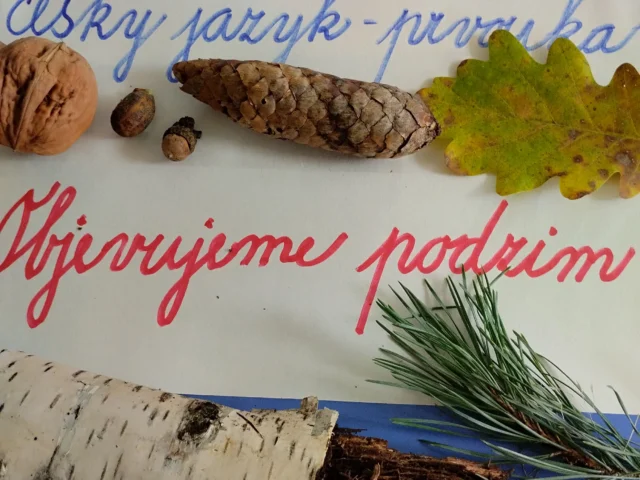 Projektová výuka č. 2: “Objevujeme podzim”