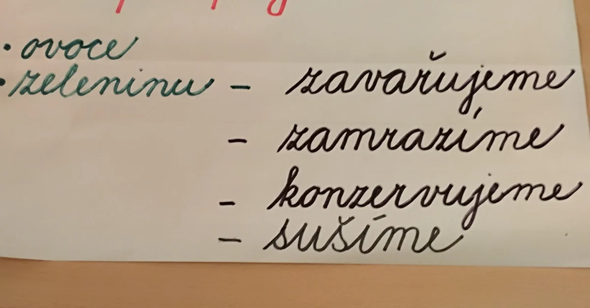 Projektová výuka č.1: “Stop plýtvání, aneb učíme se hospodařit”